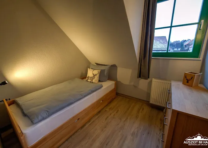 Auszeit-im-harz Haus 5 34 Apartamento